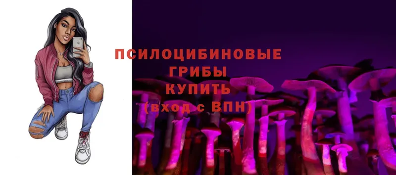 Галлюциногенные грибы Magic Shrooms  цена   Городовиковск 